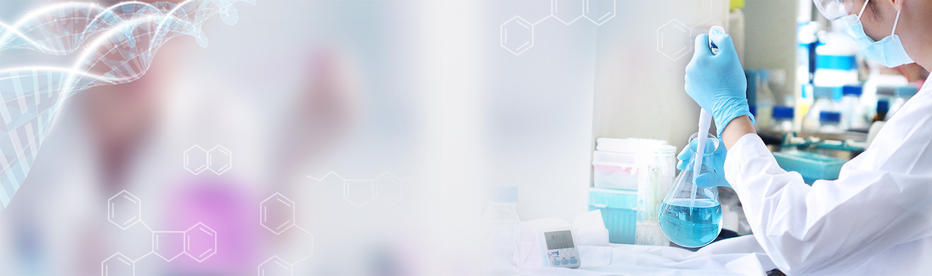 关于狮子会游戏